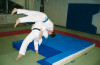 tatami judo